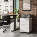 3 Drawer Mobile File Cabinet Under Desk Office, Fully Assembled Except Casters, Letter/Legal Size, Black